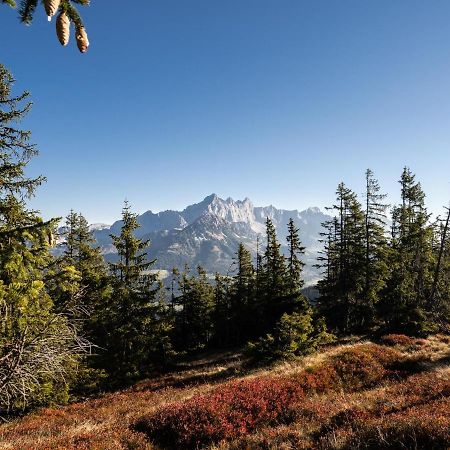 Schattbergblick ซาลบาคฮินเทอร์เกลมม์ ภายนอก รูปภาพ